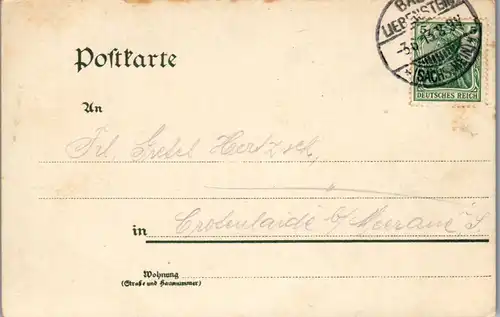 43520 - Deutschland - Inselsberg , Motiv aus dem Wald , Hirsch - gelaufen 1913