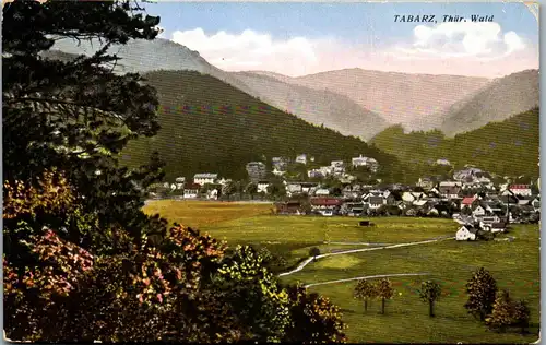 43524 - Deutschland - Tabarz , Panorama , Thür. Wald - gelaufen 1927