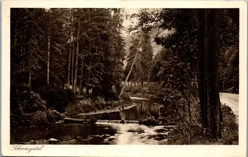 43672 - Deutschland - Schwarzatal , Waldpartie - nicht gelaufen 1926