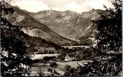 43750 - Deutschland - Hammer , Siegsdorf , Aiplspitz , Jägerkamp , Nagelspitz - gelaufen 1957