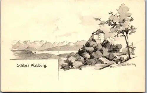 43802 - Künstlerkarte - Schloss Waldburg , signiert - nicht gelaufen