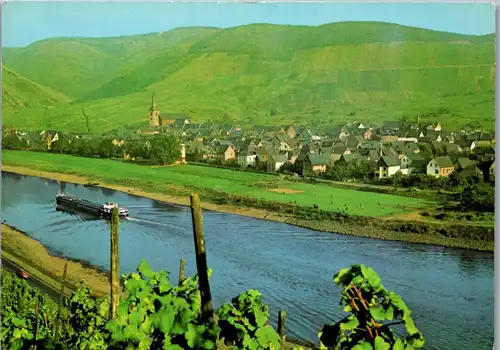 43923 - Deutschland - Bruttig , Mosel , Panorama - nicht gelaufen