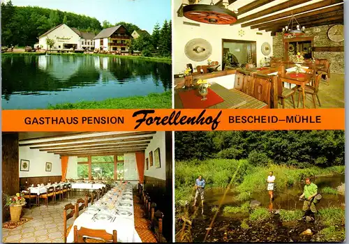 43949 - Deutschland - Bescheid Mühle , Gasthaus Pension Forellenhof , Bes. Fam. Jos. Robert - nicht gelaufen