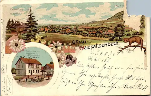 44173 - Deutschland - Waldkatzenbach , Waldbach , Gruss aus , Restaurant zum Katzenbuckel , beschädigt - 1901