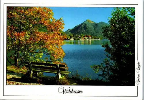 44342 - Deutschland - Walchensee , gegen Jochberg , Panorama - gelaufen 1993