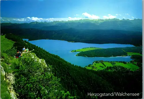 44358 - Deutschland - Walchensee , Herzogstand mit Blick auf See u. Halbinsel , Zwergern - gelaufen 1994