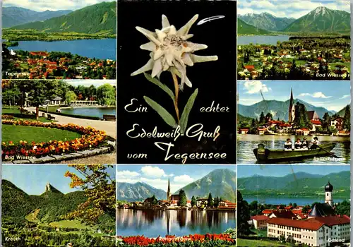 44394 - Deutschland - Tegernsee , echte getrocknete Edelweiß , Mehrbildkarte - gelaufen 1972