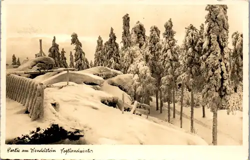 44473 - Deutschland - Grünbach , Partie am Wendelstein , Vogtland Winter - nicht gelaufen