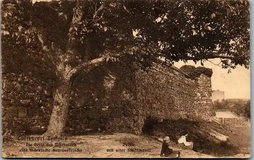 44525 - Deutschland - Templin , Partie mit alter Stadtmauer - gelaufen