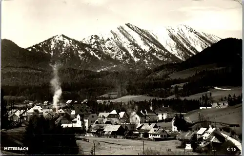 44730 - Niederösterreich - Mitterbach am Erlaufsee , Panorama - gelaufen 1956