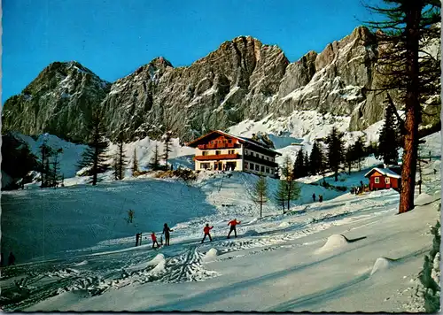 44774 - Steiermark - Ramsau , Berghotel Türlwand , Dachstein , Ski , Winter - gelaufen