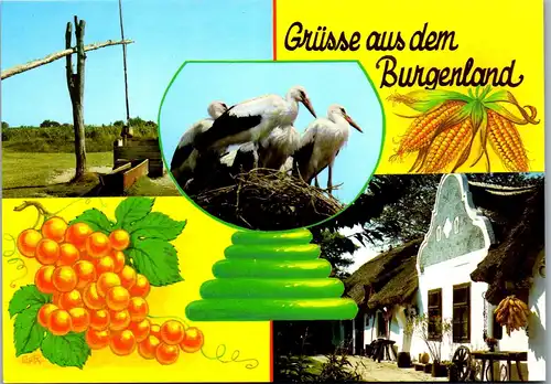 45055 - Burgenland - Pußtabrunnen , Störche , Barockhaus - nicht gelaufen