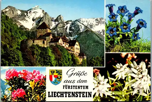 45074 - Liechtenstein - Mehrbildkarte ,  - nicht gelaufen