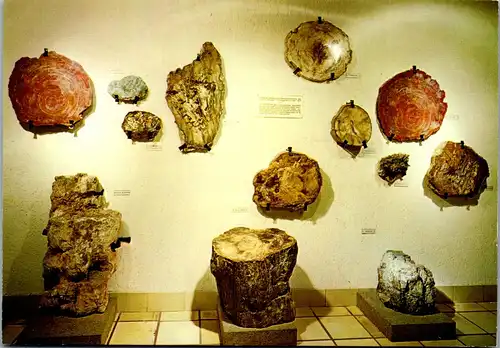 45102 - Deutschland - Idar Oberstein , Heimatmuseum , Felsenkirche , Verkieselte Hölzer Eingangshalle - n. gelaufen