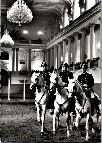45219 - Wien - Spanische Reitschule , Hofreitschule , Lipizzaner , Pferd - nicht gelaufen 1970