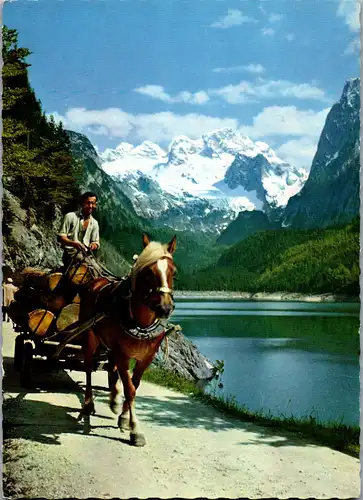 45226 - Oberösterreich - Gosausee , Dachstein , Pferdewagen , Holzwagen - gelaufen 1970