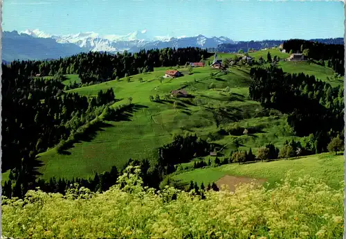 45232 - Schweiz - Menzberg , Hotel Kreuz , Berner Alpen - gelaufen 1969