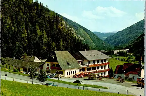 45236 - Steiermark - Seewiesen , Hotel Schuster , Leo u. Grete Schuster - gelaufen 1976