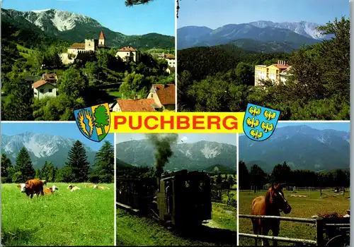 45296 - Niederösterreich - Puchberg , Schneeberg , Ortsansicht , Hotel Haus Strengberg , Zahnradbahn - gelaufen 1993