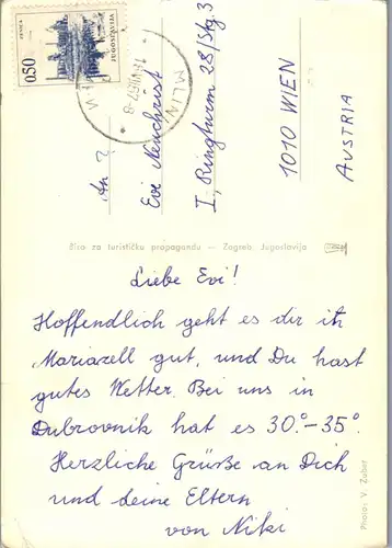 45317 - Tiere - Esel ,  - gelaufen 1967