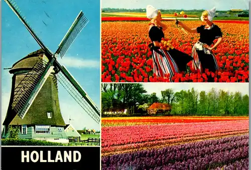 45354 - Niederlande - Windmühle , Blumenmeer , Tracht - gelaufen 1971