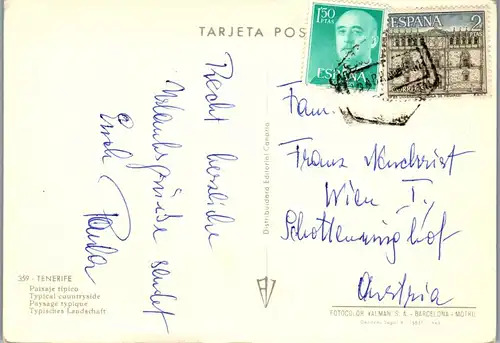 45392 - Spanien - Teneriffa , Tenerife , Paisaje tipico - gelaufen