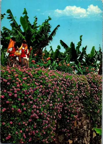 45464 - Spanien - Teneriffa , Tenerife , Canaria , Flowers and typical Costumes , Trachten - gelaufen 1971