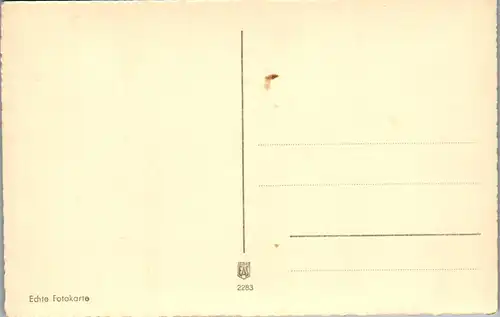 45731 - Bäume - Am Waldesrand , Buche , Buchen - nicht gelaufen