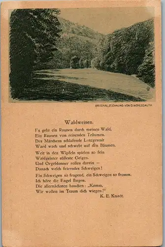 45732 - Künstlerkarte - Waldweisen , Daniel Wohlgemuth , K. E. Knodt - nicht gelaufen