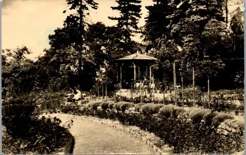 45780 - Deutschland - Sangerhausen , Rosarium - gelaufen