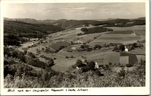 45861 - Deutschland - Sebnitz , Saupsdorf , Blick nach dem Saupsdorfer Räumicht , Sächsische Schweiz - gelaufen 1955