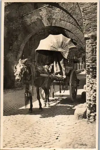 45934 - Italien - Rom , Carro a vino , Eselwagen - nicht gelaufen