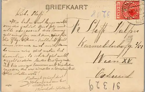 46011 - Niederlande - Winschoten , Boschgezicht - gelaufen 1911