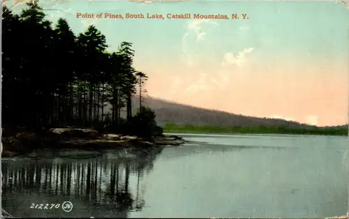46037 - USA - New York , Catskill Mountains , Point of Pines , South Lake - gelaufen