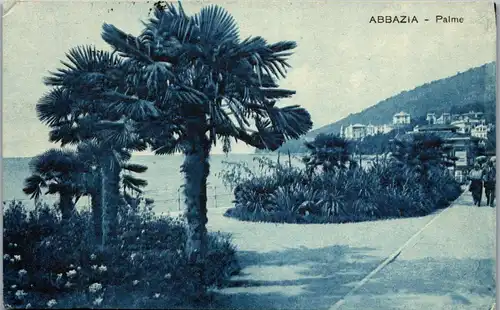 46050 - Kroatien - Abbazia , Opatija , Palme - gelaufen 1929