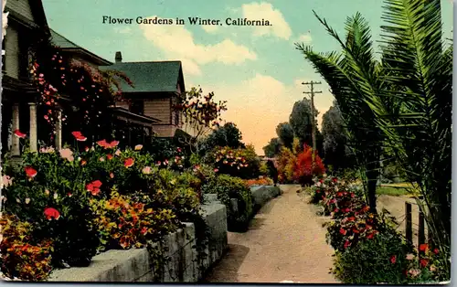 46170 - USA - California , Flower Gardens in Winter - gelaufen 1913