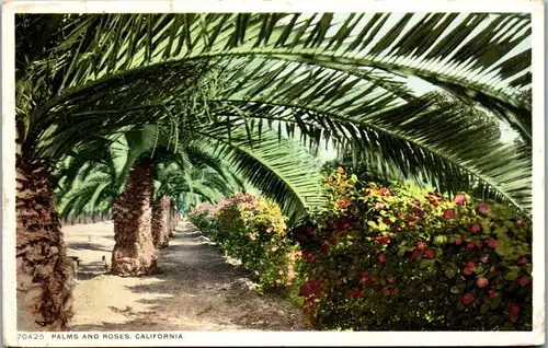 46171 - USA - California , Palms and Roses - gelaufen 1913