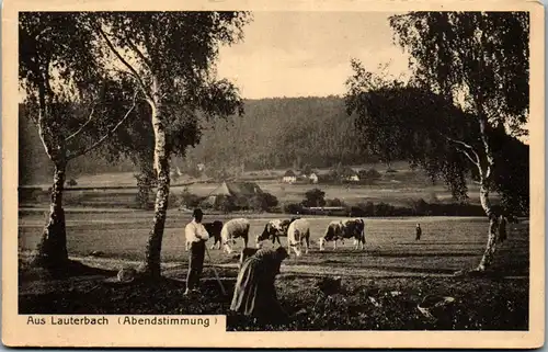 46210 - Deutschland - Lauterbach , Abendstimmung , Kuhherde , Bauern - gelaufen 1917
