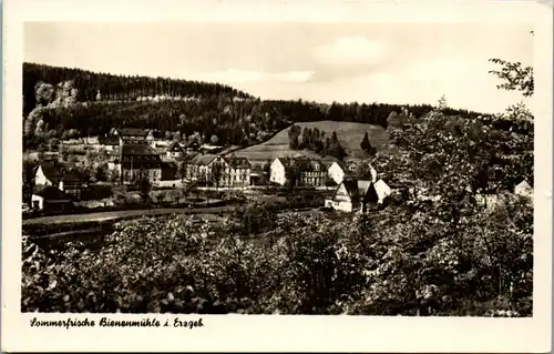 46346 - Deutschland - Bienenmühle , Rechenberg , Erzgebirge , Panorama , Sommerfrische - gelaufen 1956
