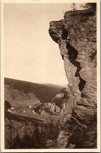 46428 - Deutschland - Hinterer Grund , Blick v. Vogeltoffelfelsen i. d. Hinteren Grund im Tal der Schwarzen Pockau