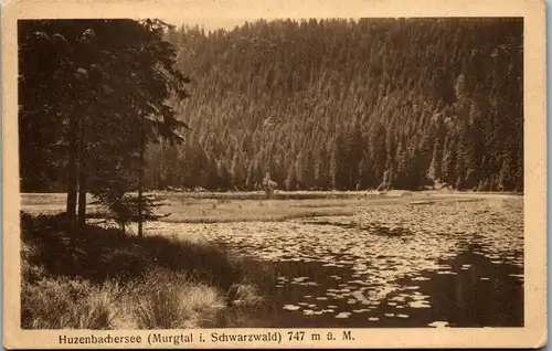 46529 - Deutschland - Murgtal , Huzenbachersee , Huzenbacher See , Schwarzwald - gelaufen