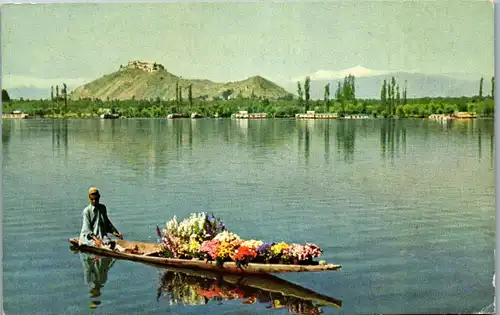 46542 - Indien - Kashmir , Kaschmir , Dal Lake , Srinagar - nicht gelaufen