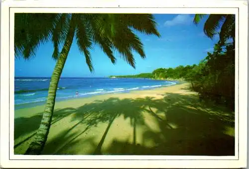 46648 - Dominikanische Republik - Costa Norte , Playas , Strand , Palme - gelaufen