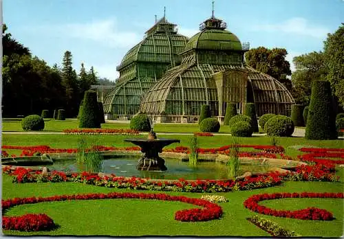 46736 - Wien - Schönbrunn , Palmenhaus - nicht gelaufen