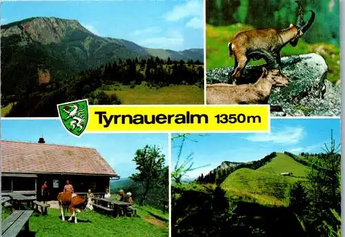 46755 - Steiermark - Fladnitz a. d. Teichalm , Gasthaus Tyrnaueralm , Rote Wand , Steinbock - gelaufen 1982