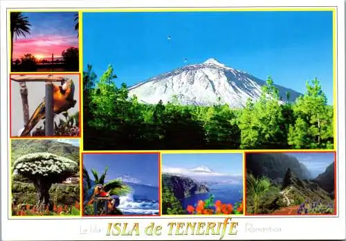46973 - Spanien - Teneriffa , Tenerife , El Teide , El Drago , El Pris , Masca , Playa de Las Americas - gelaufen