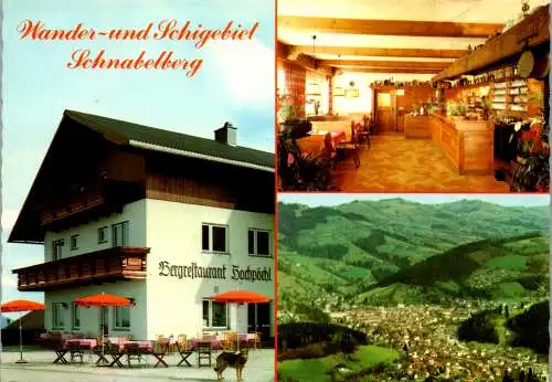 47060 - Niederösterreich - Waidhofen an der Ybbs , Bergrestaurant Hochpöchl am Schnabelberg - nicht gelaufen 1982