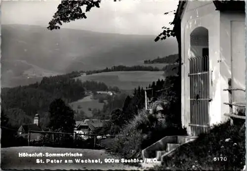 47106 - Niederösterreich - St. Peter am Wechsel , Panorama - gelaufen 1968