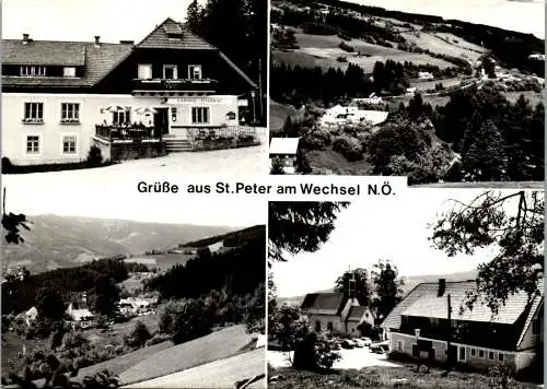 47108 - Niederösterreich - St. Peter am Wechsel , Gasthof zum Peterwirt , Mehrbildkarte - gelaufen