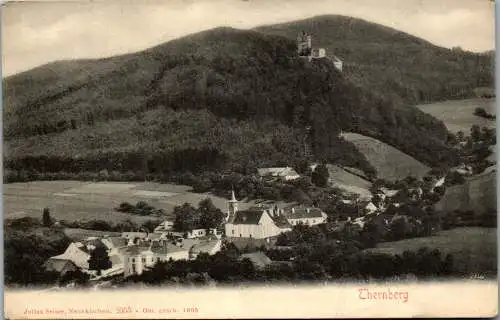47115 - Niederösterreich - Thernberg , Panorama - gelaufen 1905